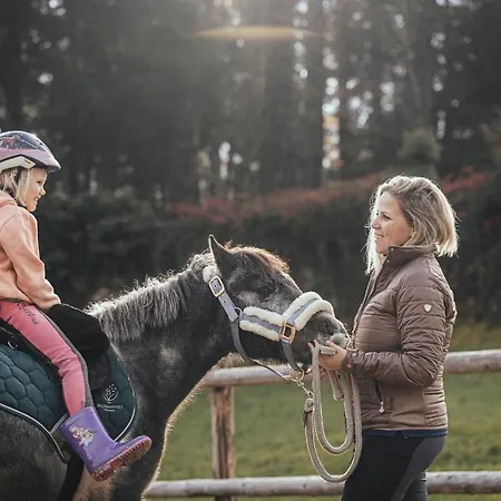 Bachmanngut Ξενοδοχείο Saint Wolfgang