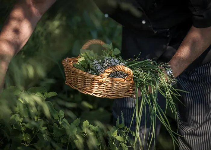 Bachmanngut Hotel Saint Wolfgang