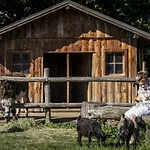 Bachmanngut Szálloda