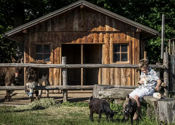 Bachmanngut ホテル